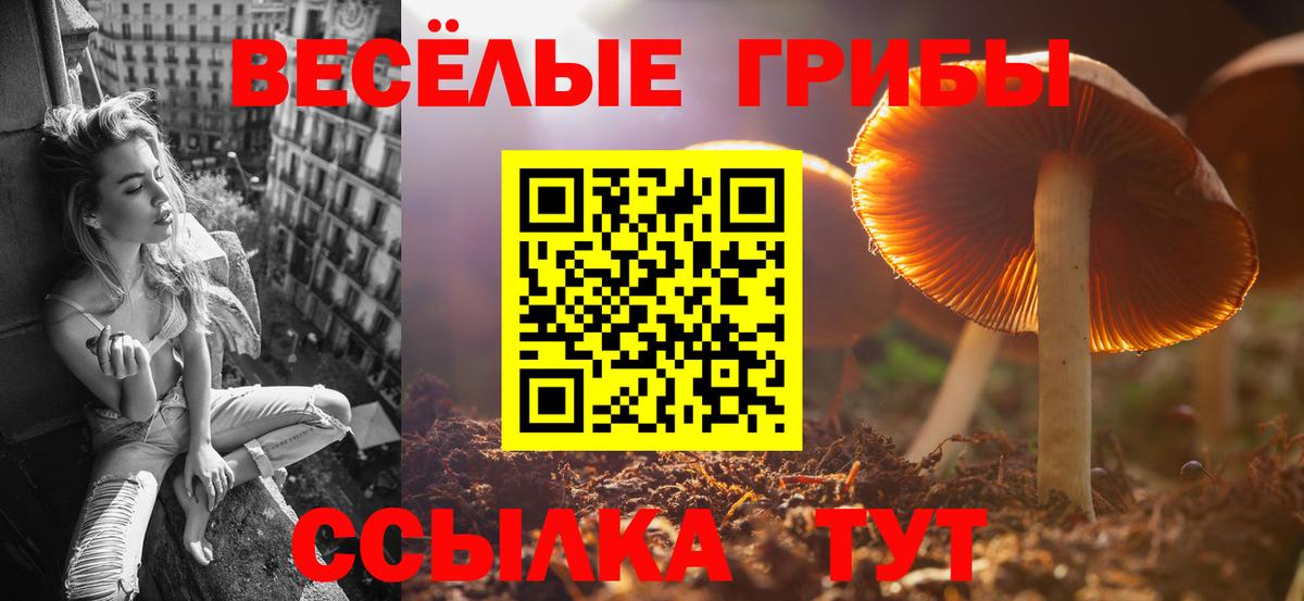 Галлюциногенные грибы MAGIC MUSHROOMS Пугачёв